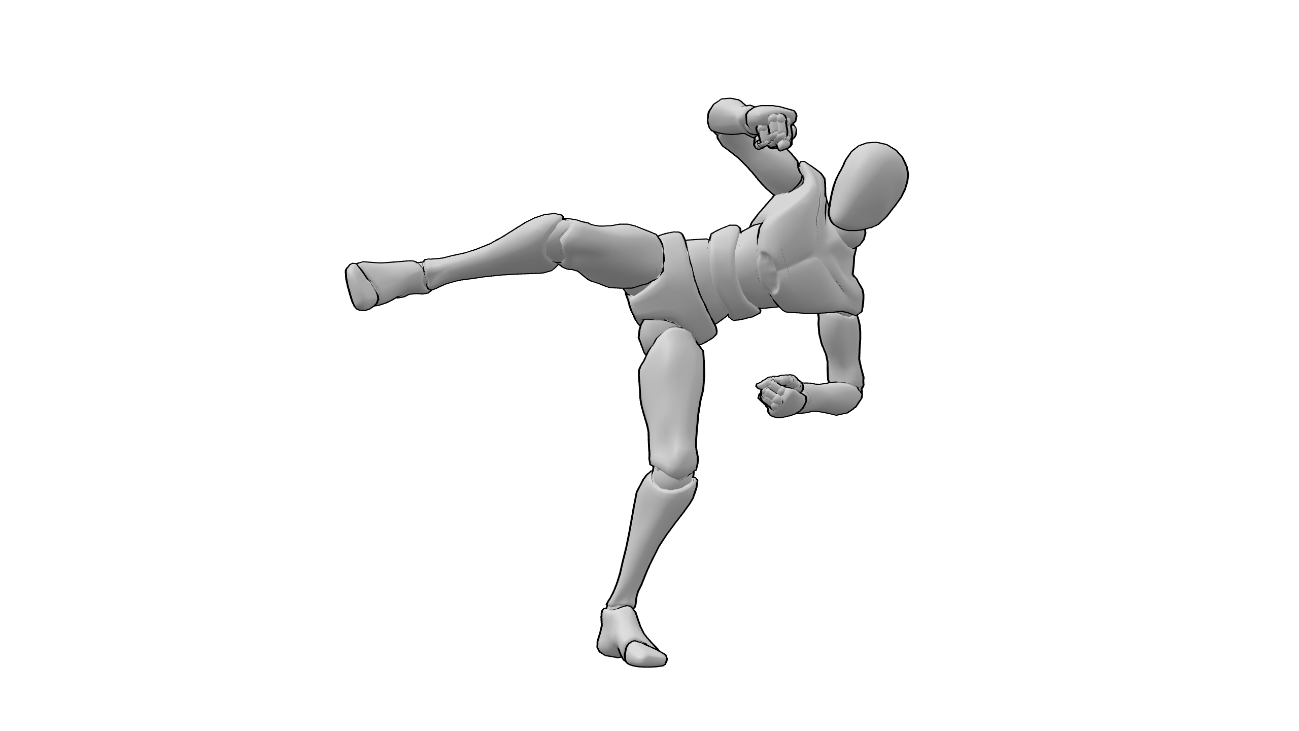 侧踢格斗姿态